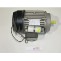 Motor PSP 100 a 300 220V